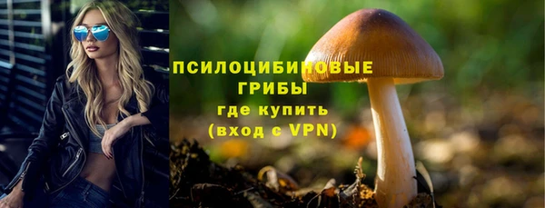 прущие грибы Волосово