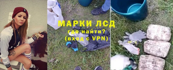 прущие грибы Волосово