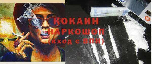прущие грибы Волосово