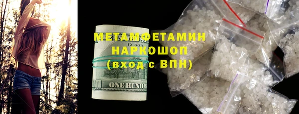 прущие грибы Волосово