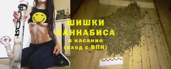 прущие грибы Волосово