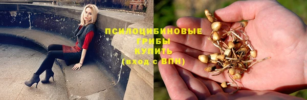 марки lsd Снежногорск