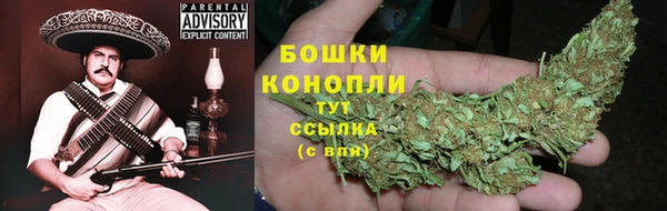 прущие грибы Волосово